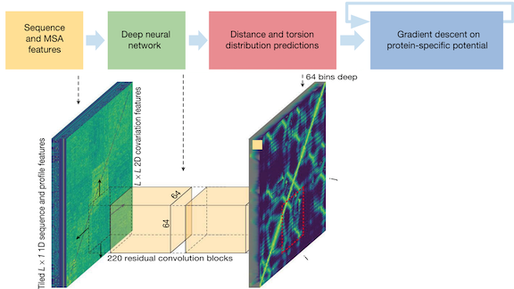 Data related to AlphaFold, a protein-folding model