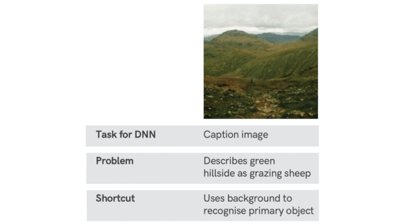 Data and information related to shortcut learning