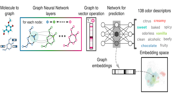 Information related to a model that predicts a chemical's smell