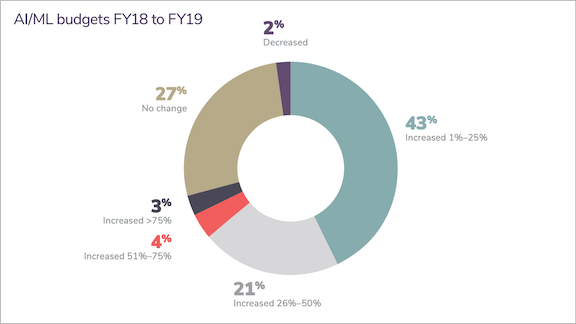 Pie chart with information on AI/ML budgets 